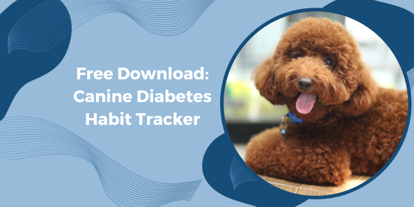 Dog sales calorie tracker